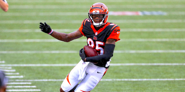 Tee Higgins: Stats, Injury News & Fantasy Projections